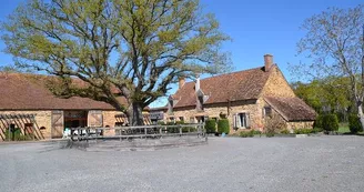 Chambres d'Hotes domaine Bonneblond