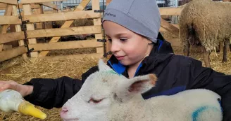 La Ferme à Croutet