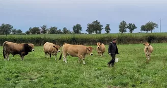 La Ferme à Croutet