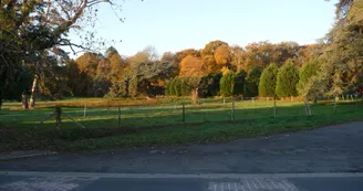 Bungalows du Château de la Croix