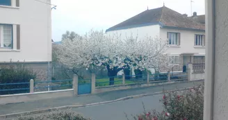 Chambre d'hôtes Entre Fer et Cher