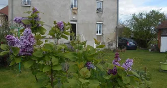 Chambre Evelyne Cavallero Chambre Evelyne Cavallero