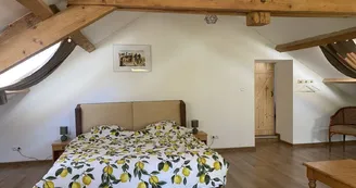 Grand gîte au Château de Bussolles