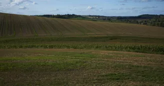 Découverte de l'Allier Découverte de l'Allier