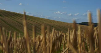 Les Quériaux