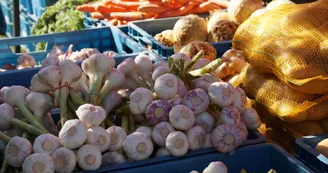 Marché de producteurs et soirée charolaise