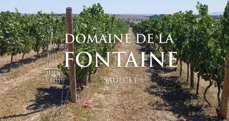 Domaine de la Fontaine Domaine de la Fontaine