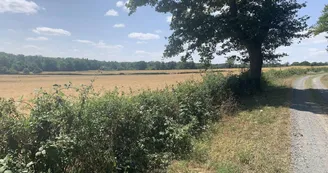 Randonnée : Sentier des Sources libres Randonnée : Sentier des Sources libres