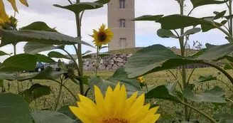 La Tour de Penaud La Tour de Penaud