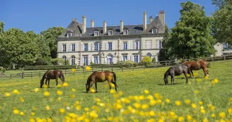 Hôtel-Château d'Ygrande Hôtel-Château d'Ygrande