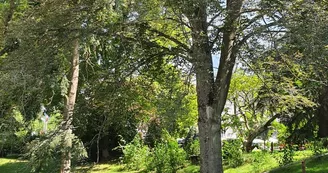 Parcours de l'arbre