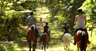 calèches attelages cheval st laud_cr Laura B (5)