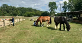 chevaux de la rosière