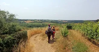 A dos d'âne A dos d'âne