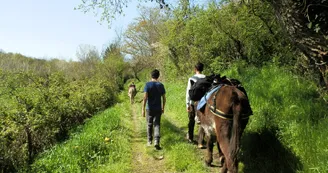 Sur les chemins Sur les chemins
