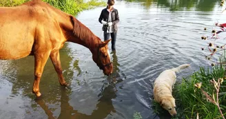 Fanny AUGEREAU_équitation éthologique (2)