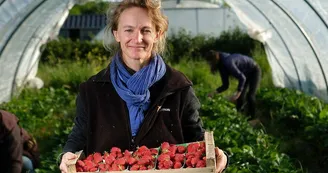 Gaec Lait Fraise