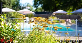 Piscine - _10 Piscine - _10