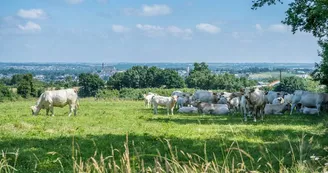 camping-ferme-la-pommeraye-angers-nantes-anjou-osezmauges camping-ferme-la-pommeraye-angers-nantes-anjou-osezmauges