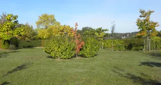 Camping Le Bois Madame - Camping Le Bois Madame_4 Camping Le Bois Madame - Camping Le Bois Madame_4