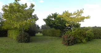 Camping Le Bois Madame - Camping Le Bois Madame_6 Camping Le Bois Madame - Camping Le Bois Madame_6