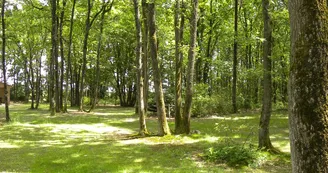 Le Bois Madame - Emplacement arboré_11 Le Bois Madame - Emplacement arboré_11