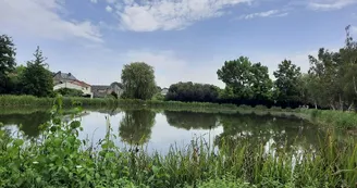 aire-de-pique-nique-CEA-Étang de saint lézin-osez-mauges-©AR  (16)