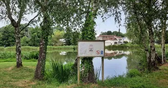 aire-de-pique-nique-CEA-Étang de saint lézin-osez-mauges-©AR  (9)