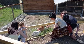 Rencontre avec les lapins Rencontre avec les lapins