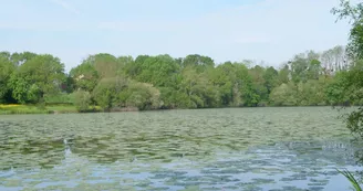 Etang du Boulet