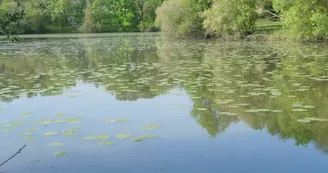 Etang du Boulet