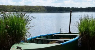 Etang des Noues à Cholet Etang des Noues à Cholet