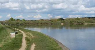 Etang des Noues à Cholet Etang des Noues à Cholet