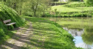Etang de la Coudraye à Saint Lambert du Lattay