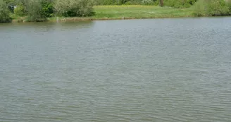 Etang du Pont de Biais