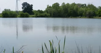 Etang du Pont de Biais