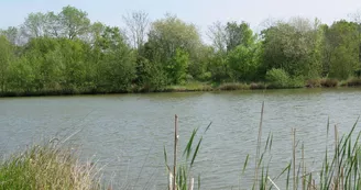 Etang du Pont de Biais