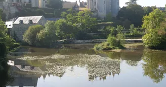 Parcours des Nobis - Montreuil-Bellay