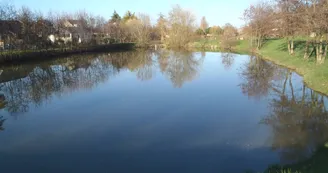 Etang des Courtilliers Etang des Courtilliers