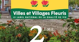 Nouvelle fleur