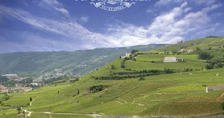 Caveau M. Chapoutier Caveau M. Chapoutier