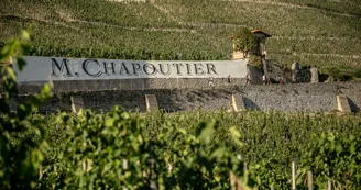 Caveau M. Chapoutier Caveau M. Chapoutier