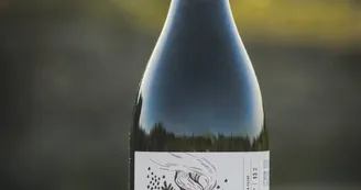 Domaine Le Pigeonnier Domaine Le Pigeonnier