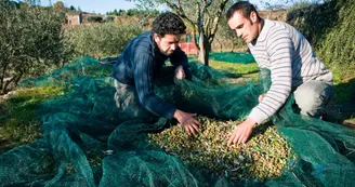 Domaine Le Pigeonnier Domaine Le Pigeonnier