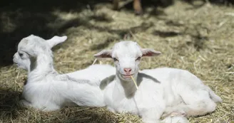 Parc animalier de Lussas