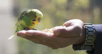Parc animalier de Lussas