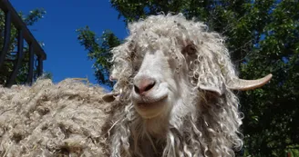 Parc animalier de Lussas