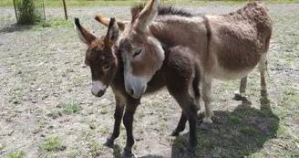 Parc animalier de Lussas
