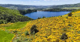 Le Lac d'Issarlès Le Lac d'Issarlès