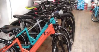Tournon Cycles